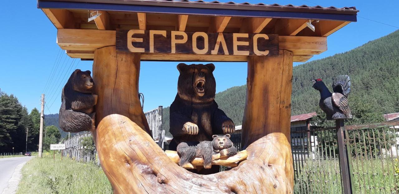 Family Hotel Ecorelax Madzhare Exterior photo